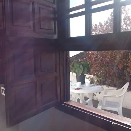 Under The Palm-trees Country house