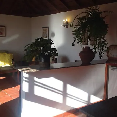 Under The Palm-trees Country house Brena Baja