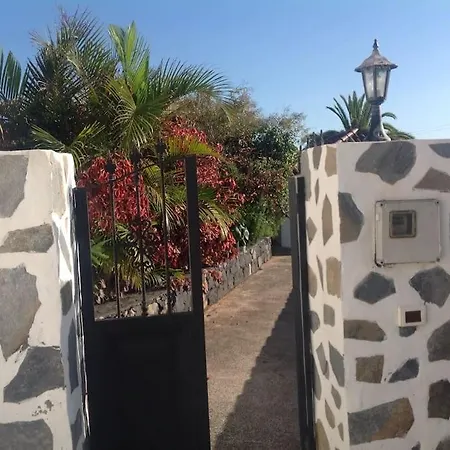 Under The Palm-trees Brena Baja